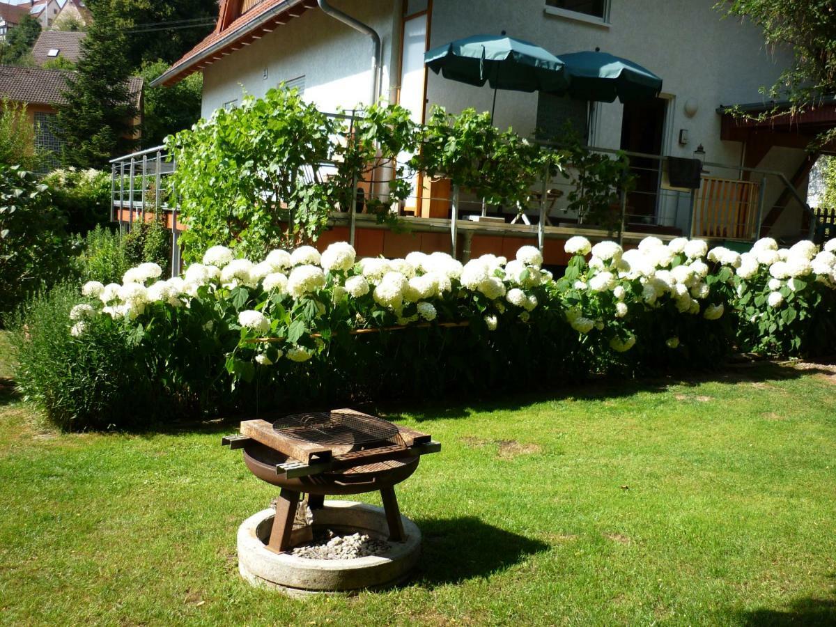 Haus Am Sandsteinbruch Zaberfeld エクステリア 写真